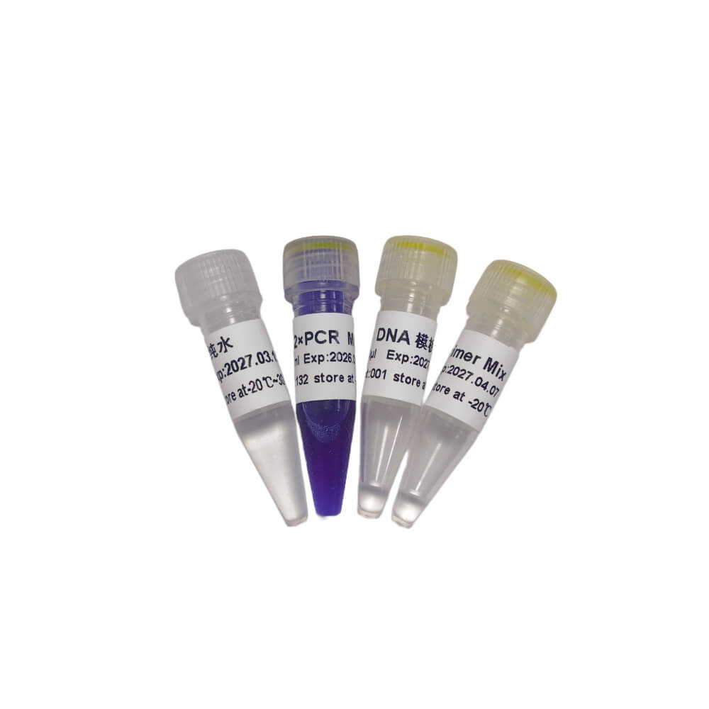PCR開源教學試劑盒 P8031 P8032