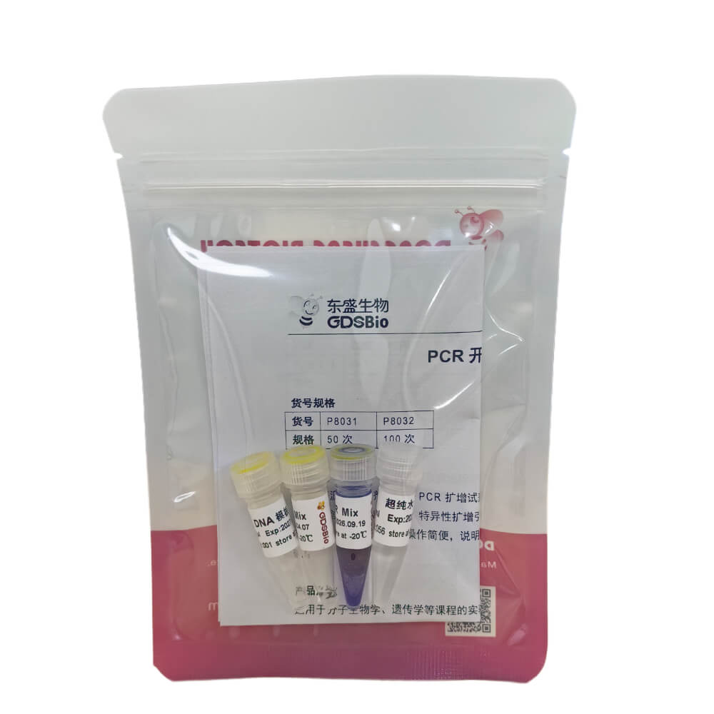 PCR開源教學試劑盒 P8031 P8032