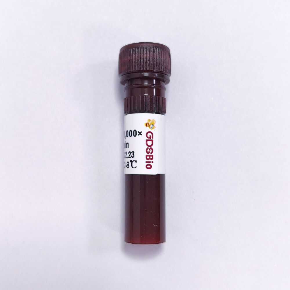 AIE-Gelgreen核酸凝膠染料(10,000X)M9101