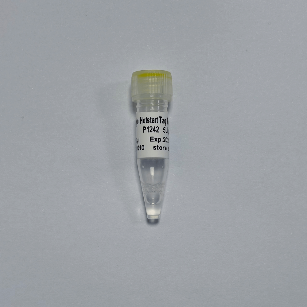 GDSlyo Hotstart Taq Polymerase