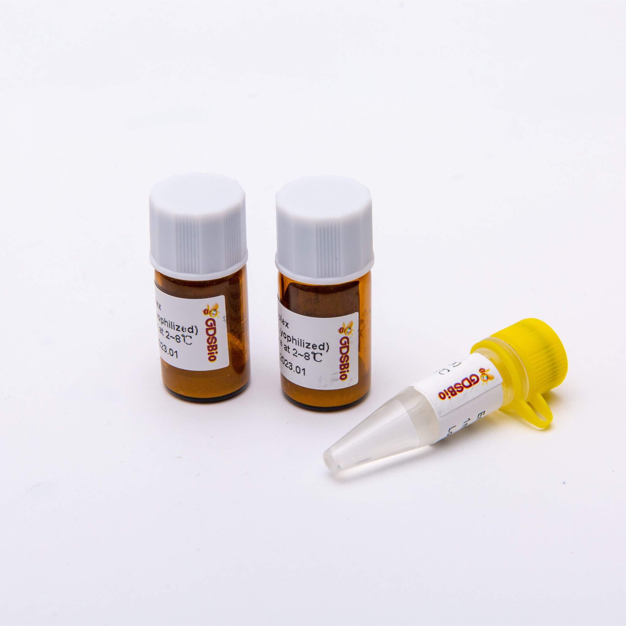 DSPathTM 4X One-Step Multiplex Master Mix (凍干粉)V5005L V5006L