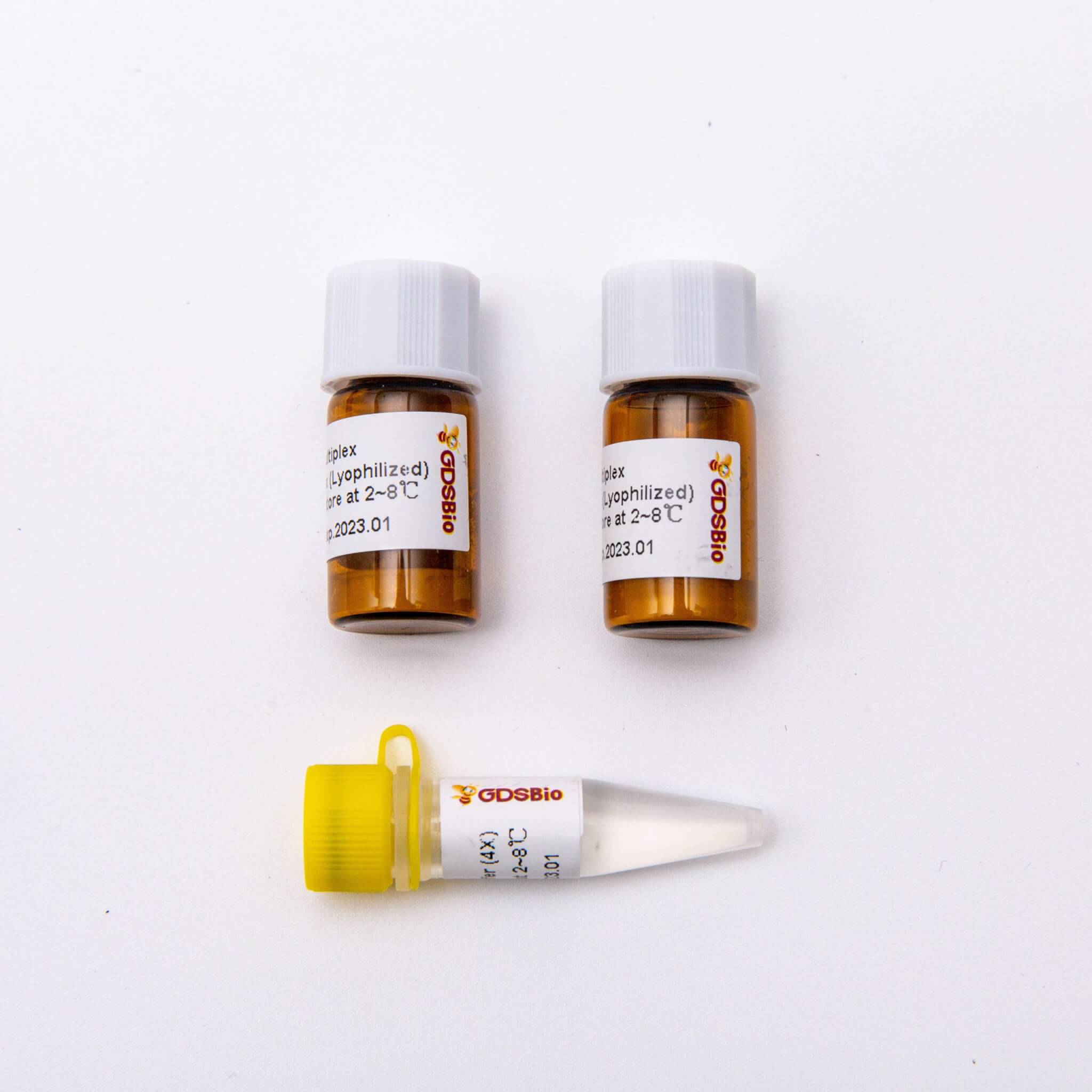 DSPathTM 4X One-Step Multiplex Master Mix (凍干粉)V5005L V5006L