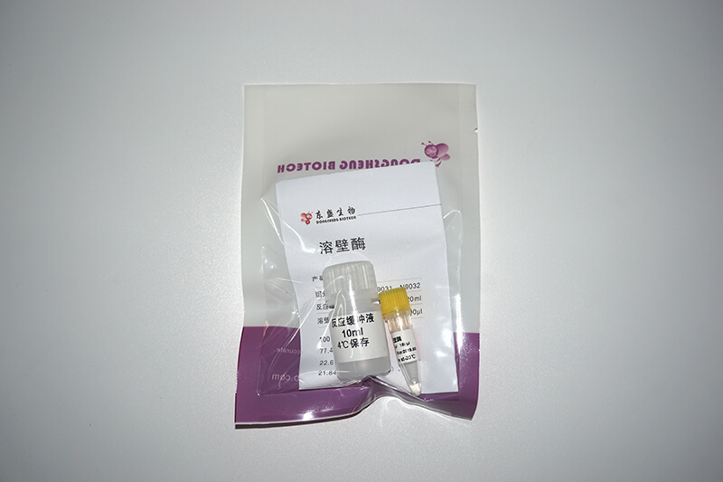 溶壁酶(N9031-N9032)