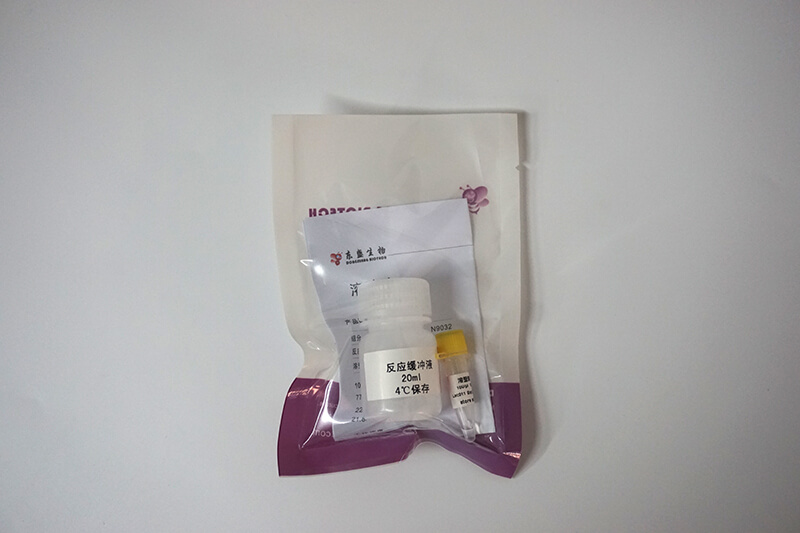 溶壁酶(N9031-N9032)