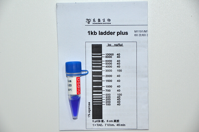 1kb Ladder Plus DNA Marker M1191/M1192
