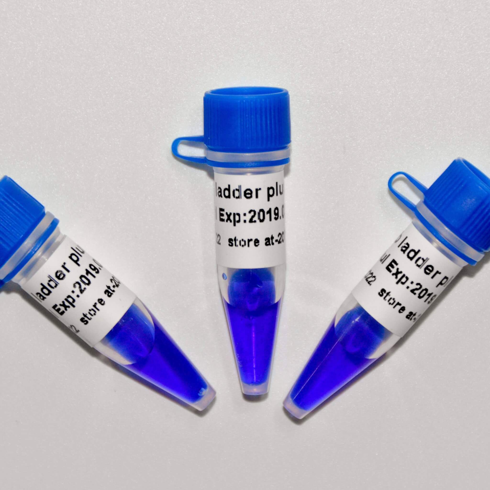 1kb Ladder Plus DNA Marker M1191/M1192