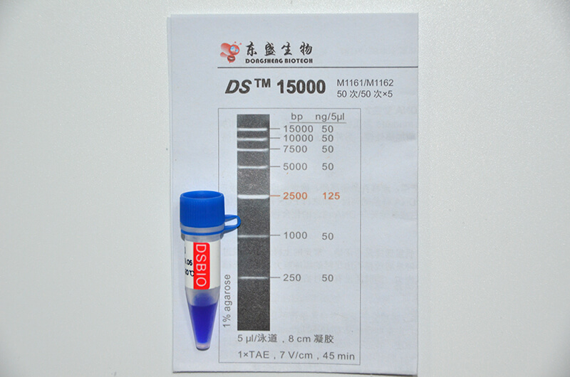 DS15000 DNA Marker M1161/M1162