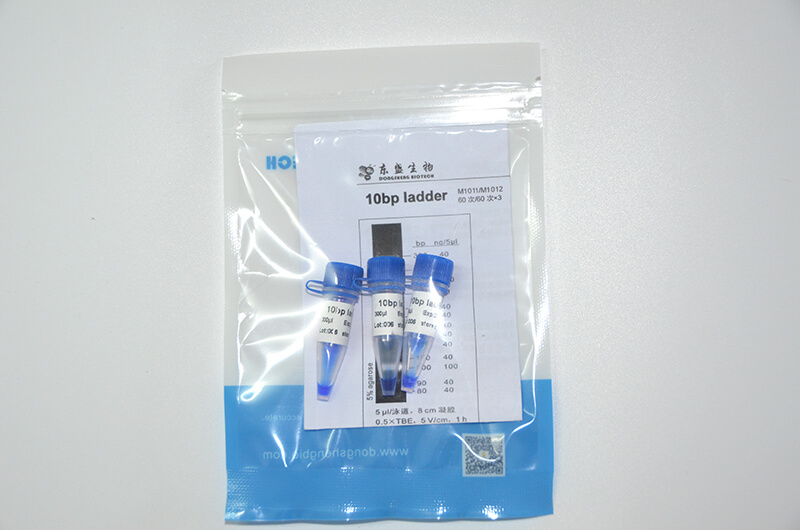 10bp Ladder DNA Marker M1011/M1012