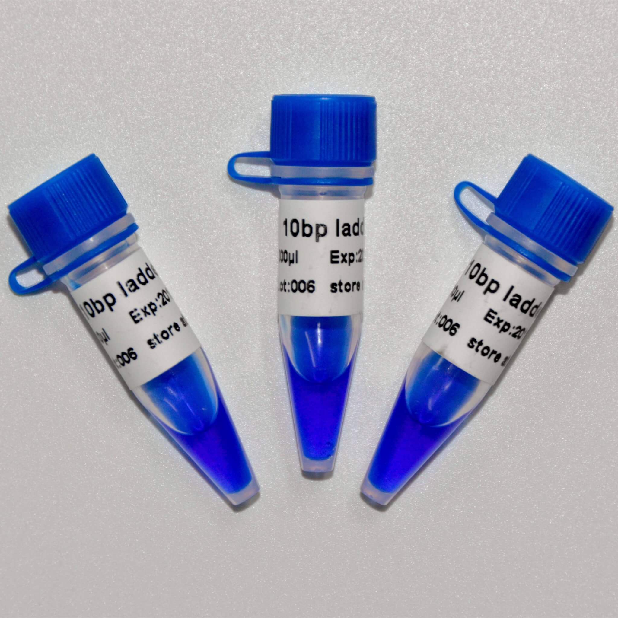 10bp Ladder DNA Marker M1011/M1012