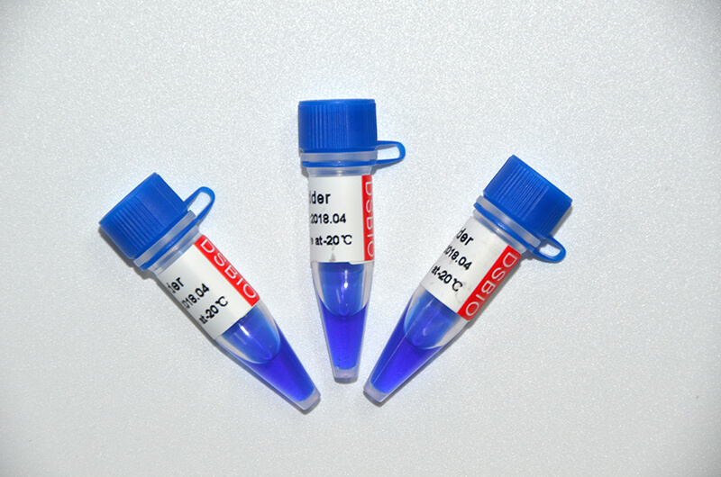 10bp Ladder DNA Marker M1011/M1012