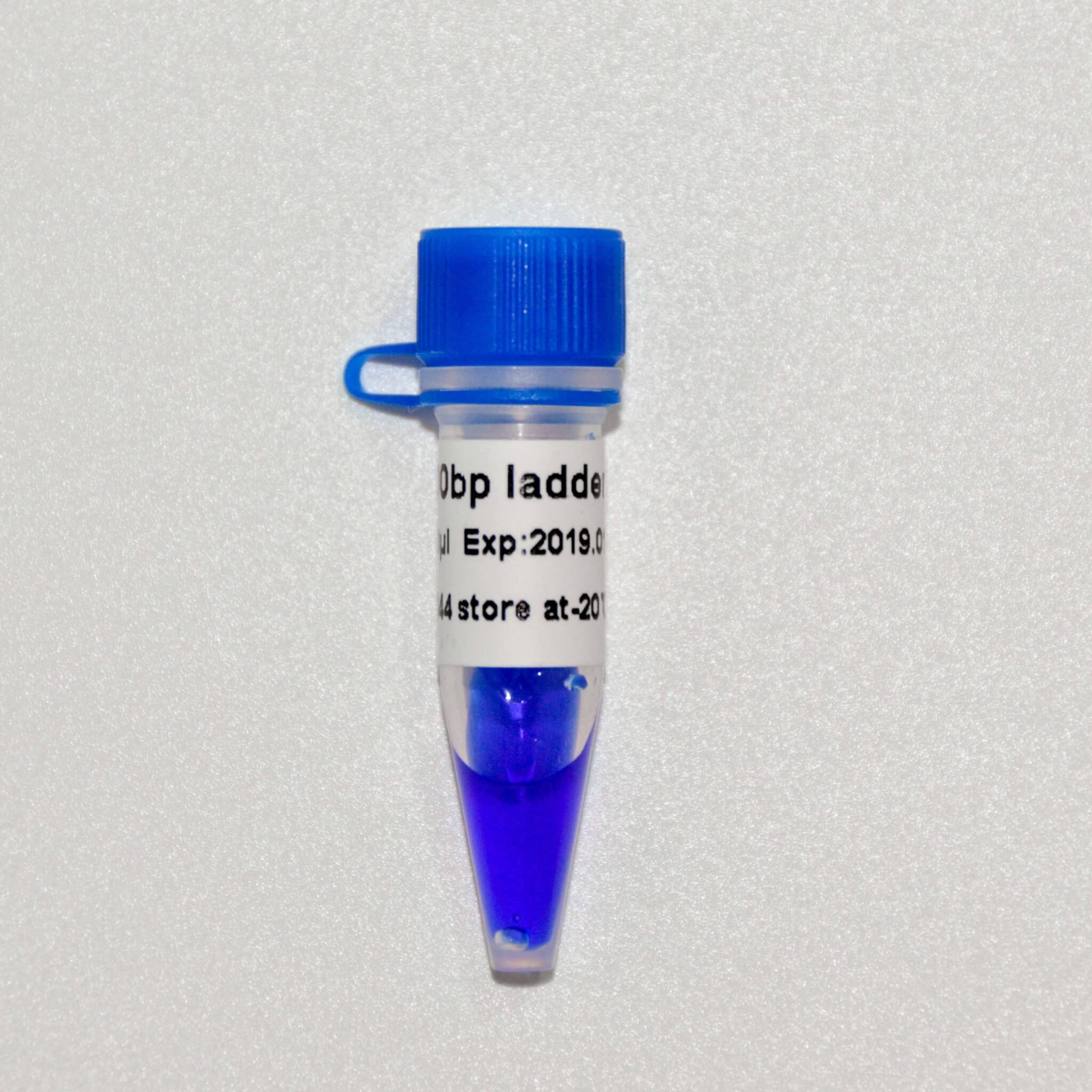 100bp Ladder DNA Marker M1061/M1062