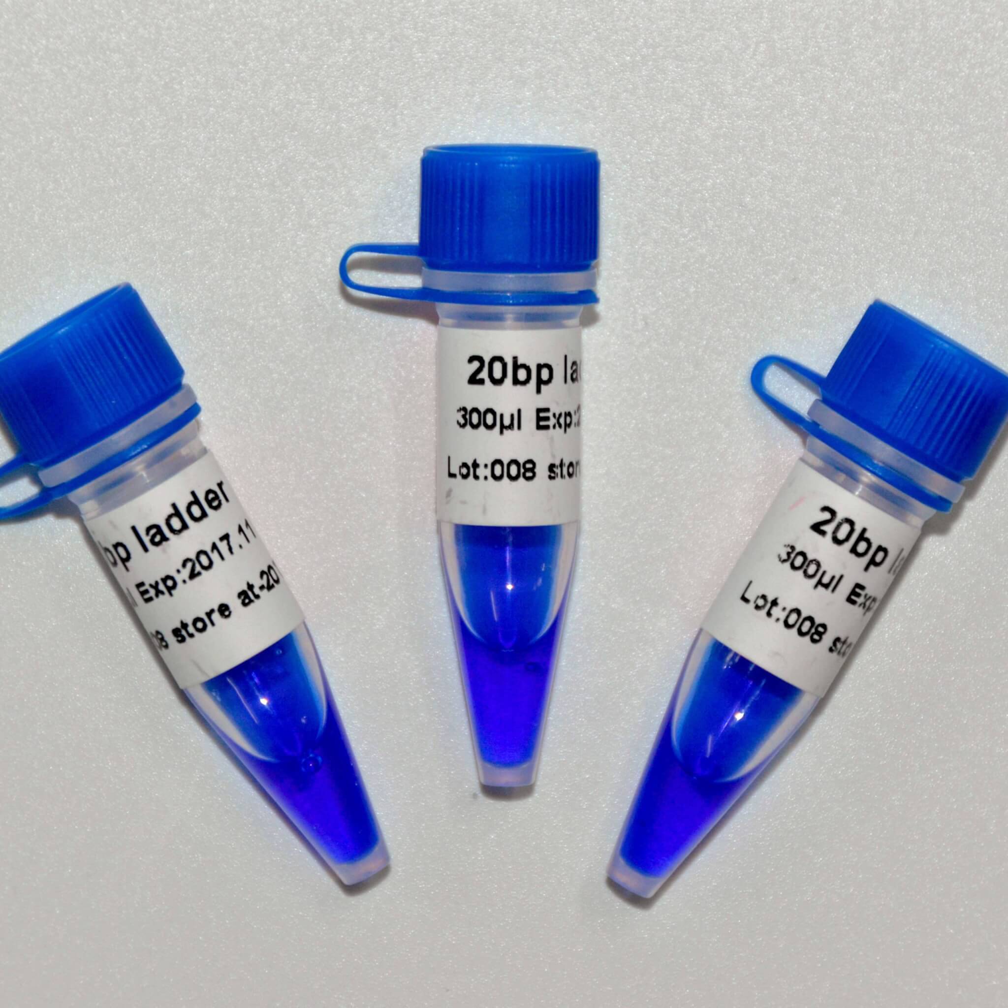 20bp Ladder DNA Marker M1021/M1022