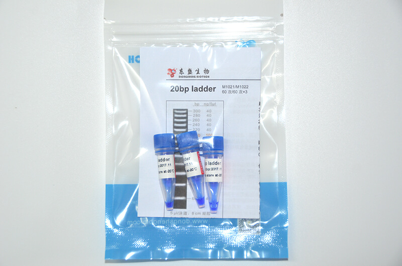 20bp Ladder DNA Marker M1021/M1022