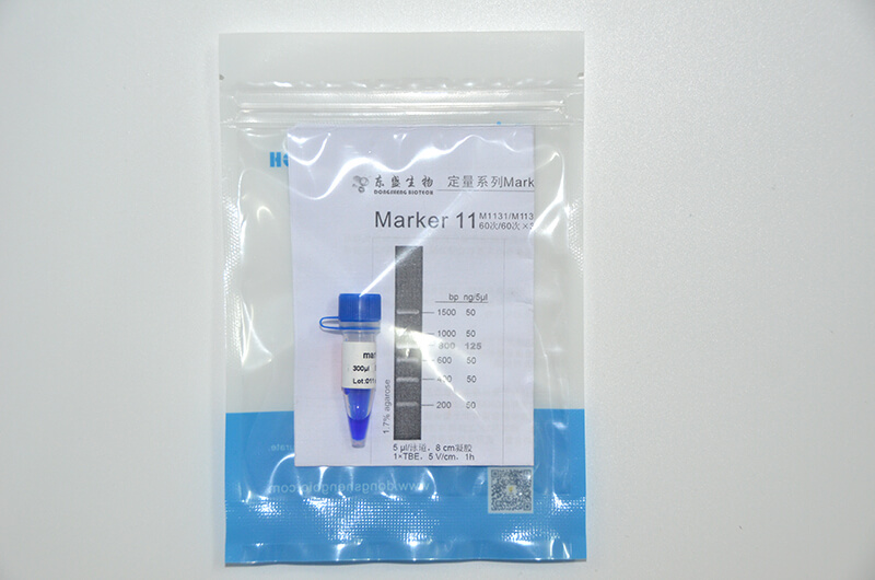 Marker 11 DNA Marker M1131/M1132