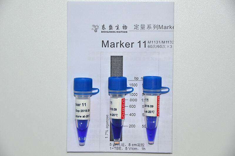 Marker 11 DNA Marker M1131/M1132