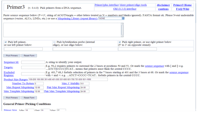 636df7001ca13 636df7001ca13