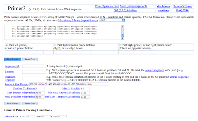 636df700c937a 636df700c937a