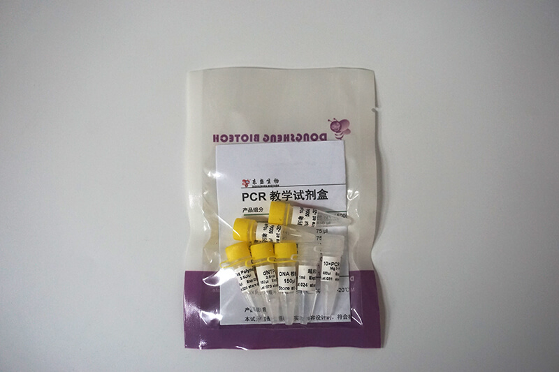 PCR教學試劑盒 (P8021-P8022)
