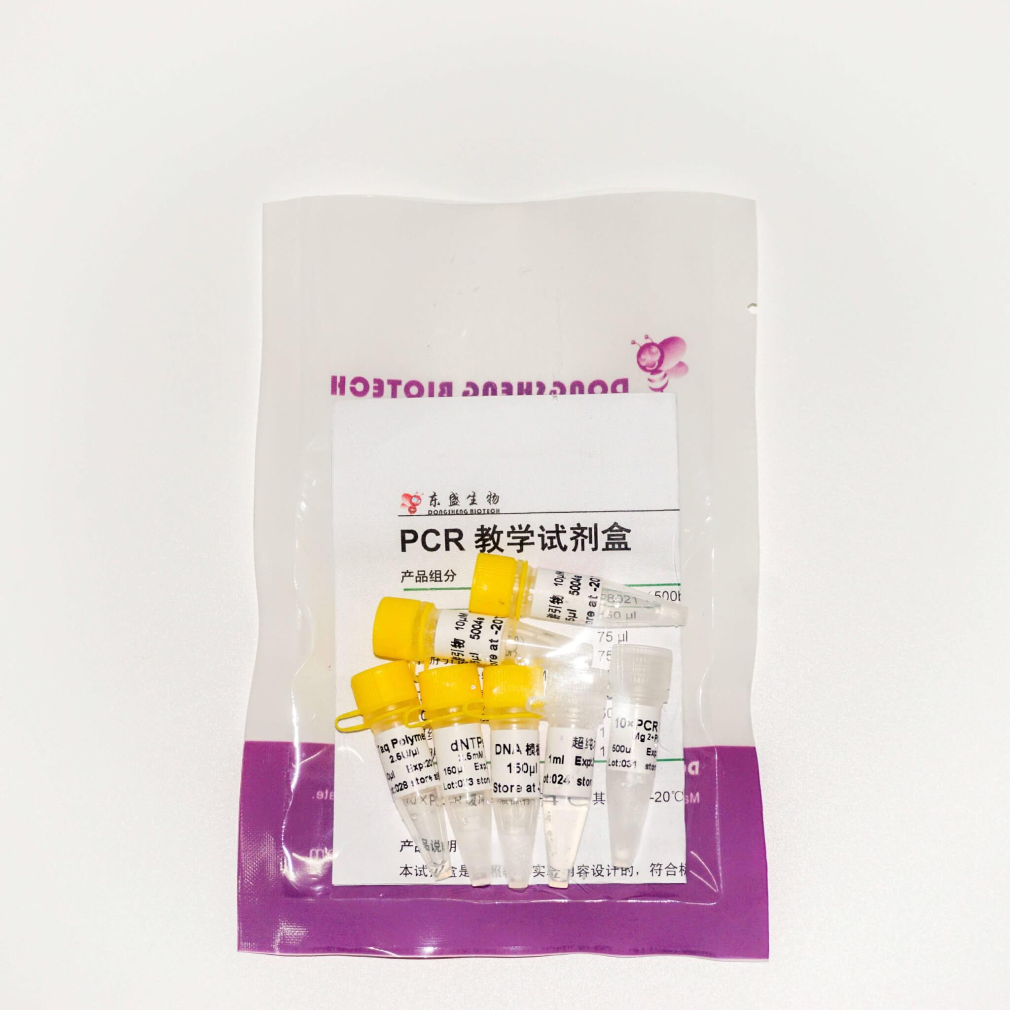 PCR教學試劑盒 (P8021-P8022)