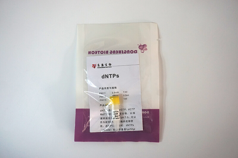 dNTPs(P9011-P9013)