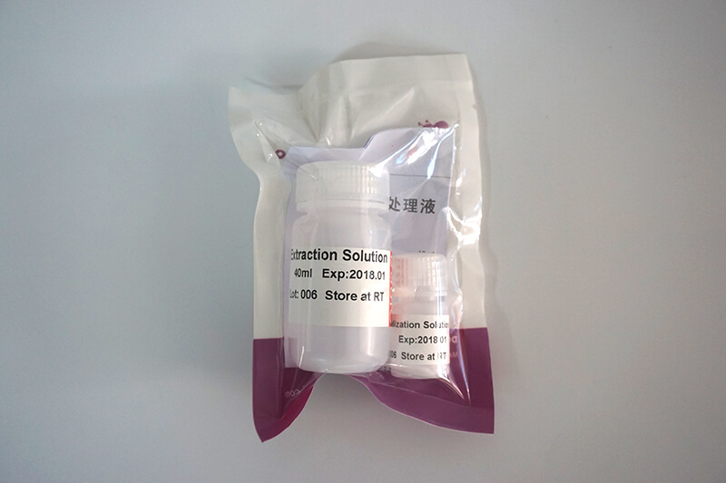 PCR標本處理液(P9051-P9052)