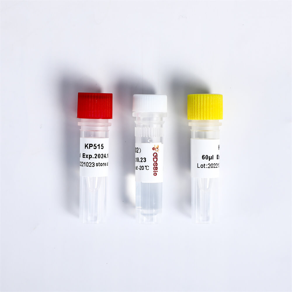 Multiplex Oligos 2 for Illumina K002-B(192rxns)