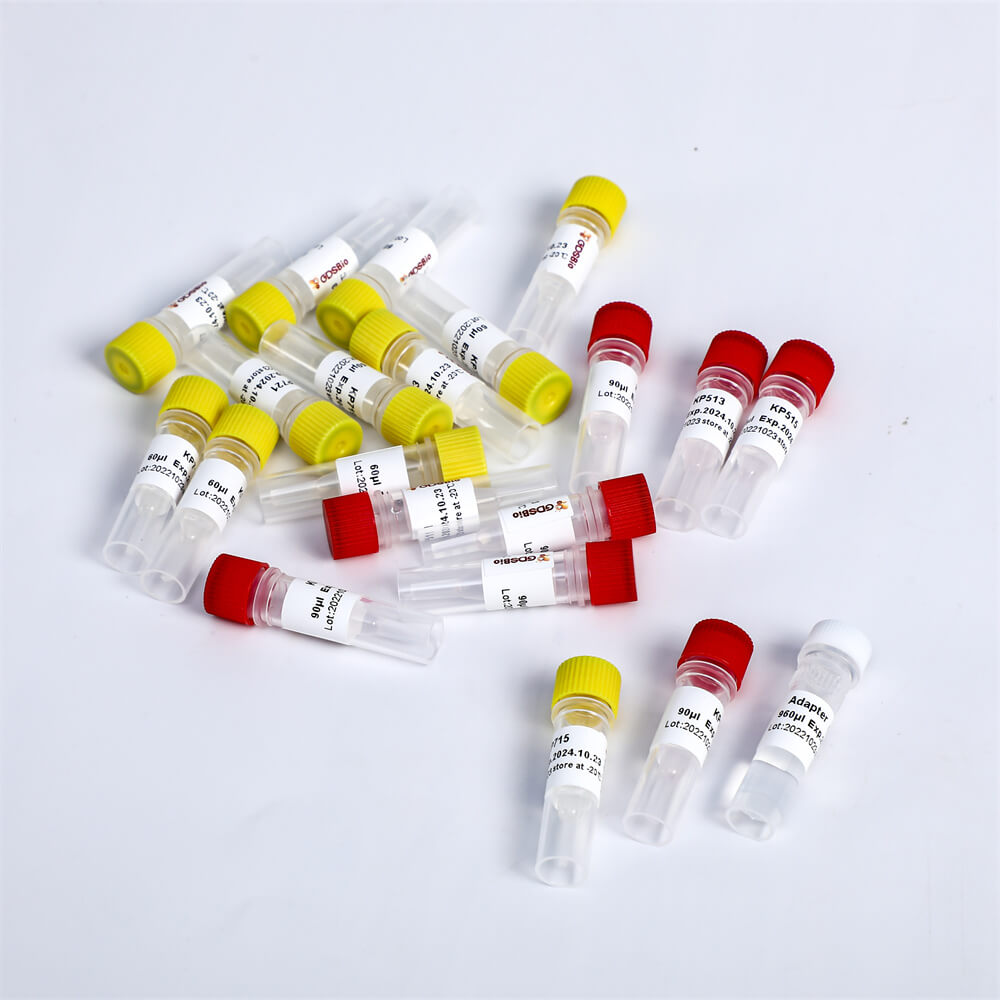 Multiplex Oligos 2 for Illumina K002-B(192rxns)