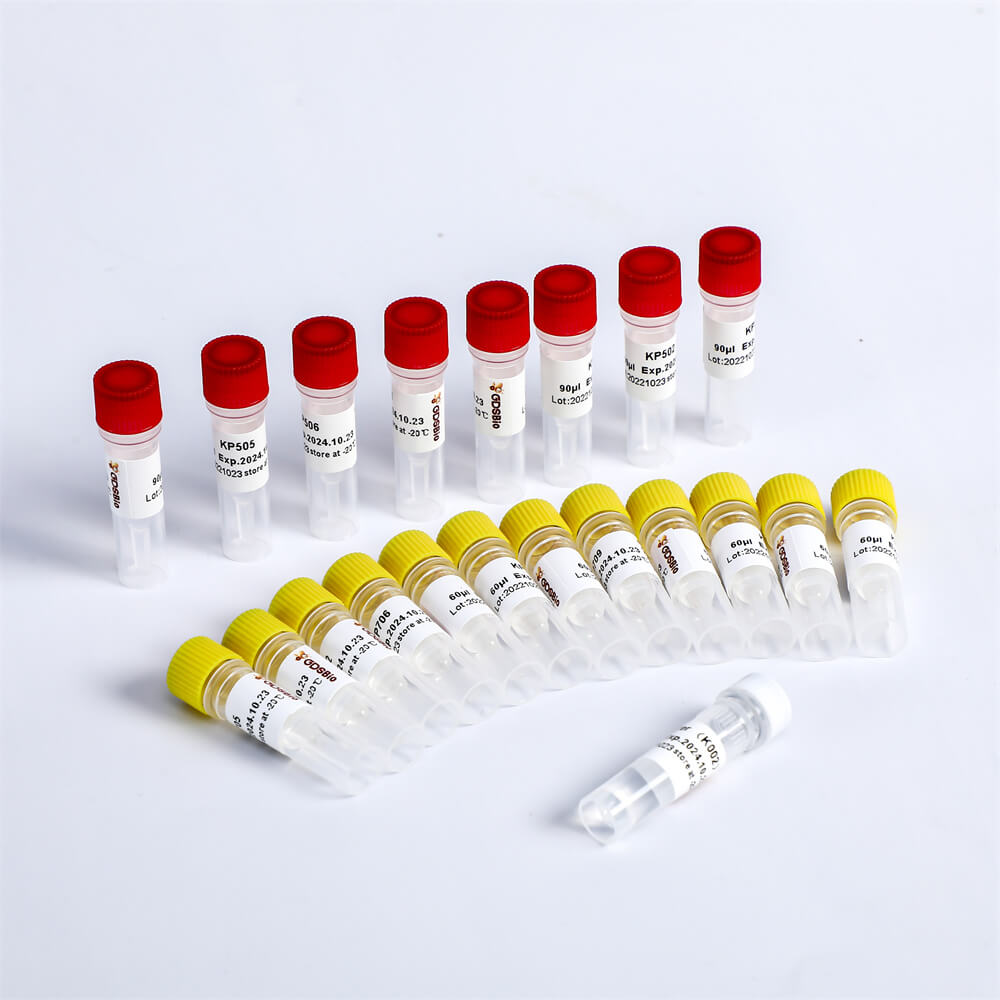 Multiplex Oligos 1 for Illumina K002-A(192rxns)