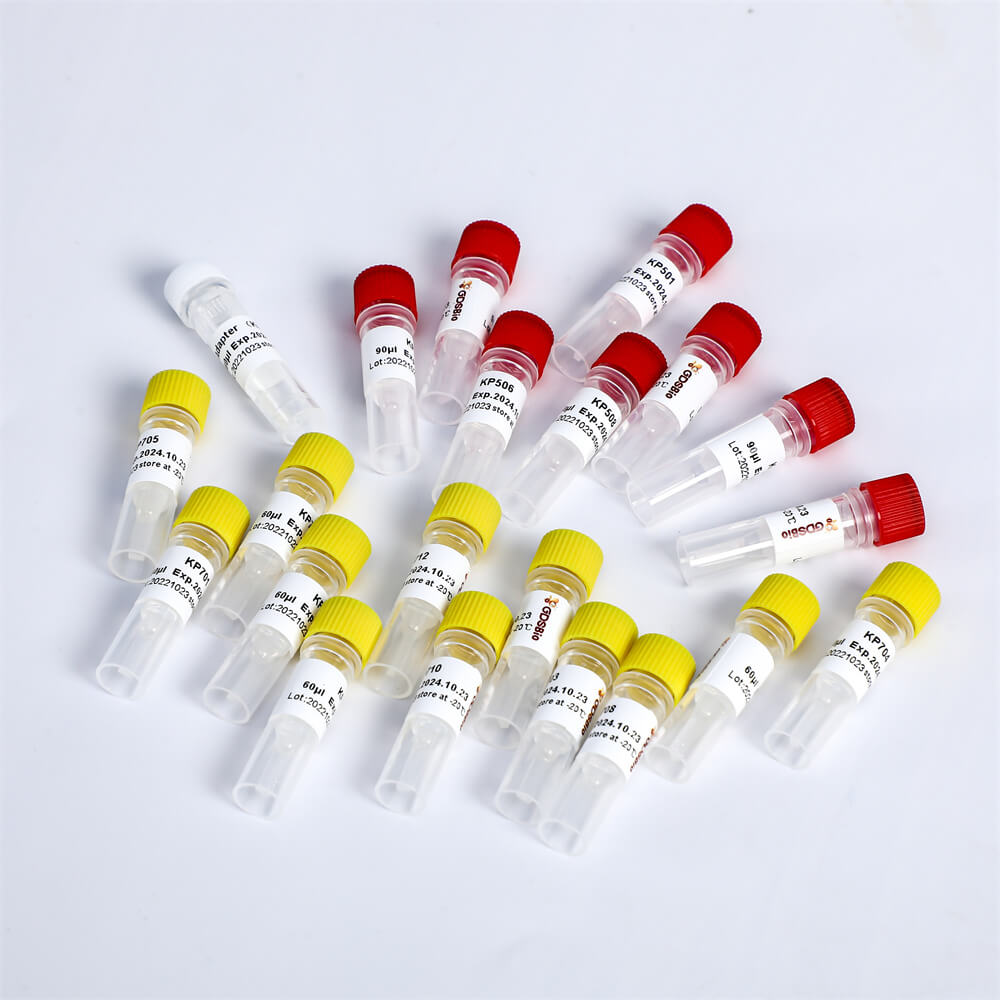 Multiplex Oligos 1 for Illumina K002-A(192rxns)