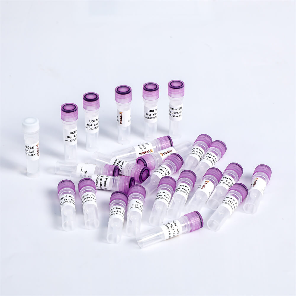 DNA Adapter Set for MGI K040-A/K040-B/K040-C