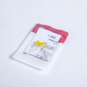 2X Multiplex PCR Master Mix with UDG PM2001,PM2002,PM2003