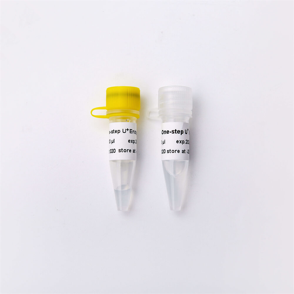 One-step Probe RT-qPCR Kit V3 含熱敏UDG酶V5011 V5011-2