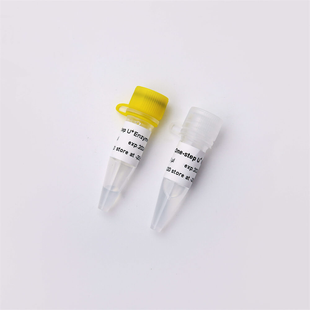 One-step Probe RT-qPCR Kit V3 含熱敏UDG酶V5011 V5011-2