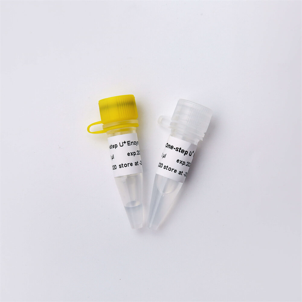 One-step Probe RT-qPCR Kit V3 含熱敏UDG酶V5011 V5011-2