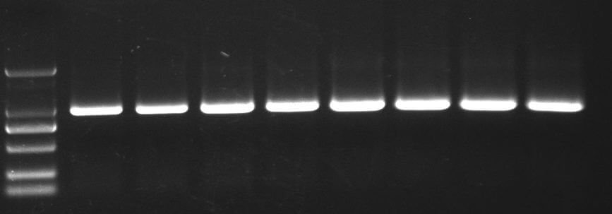 66e25eff37024 66e25eff37024