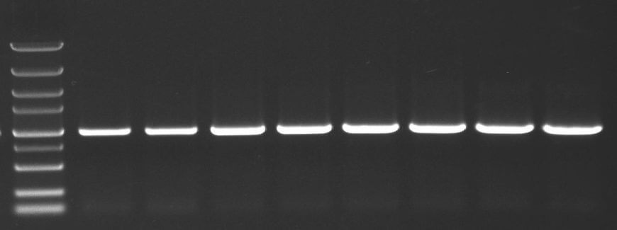 66e25eff87873 66e25eff87873