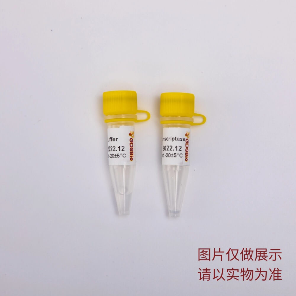Pro Multiplex Probe qPCR Mix