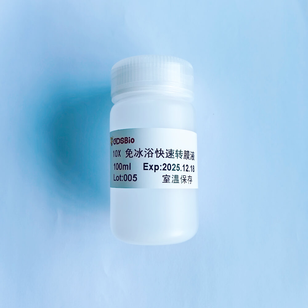 10X免冰浴快速轉膜液 D1015