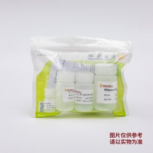 GDSlyo One-step Probe RT-qPCR Kit V2