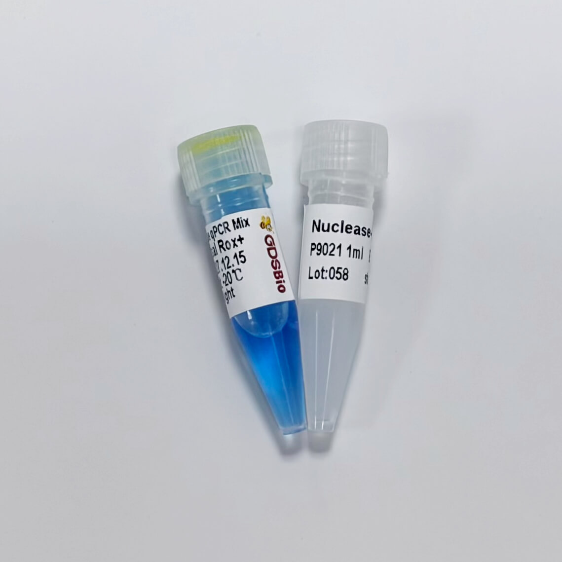 Fast SYBR Green Blue qPCR Mix (Universal ROX+)